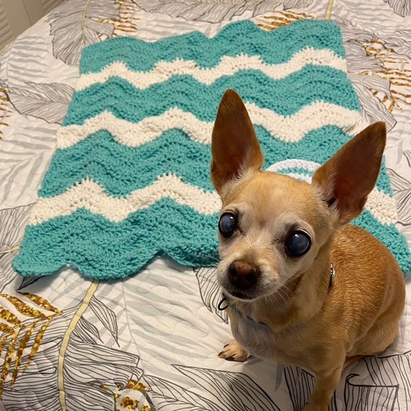 Dog Blanket with Treat Pouch, Pet Lovey, Cat Blanket, Nesting, Security - Picture 2 of 3